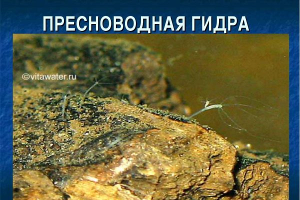 Даркнет заказ