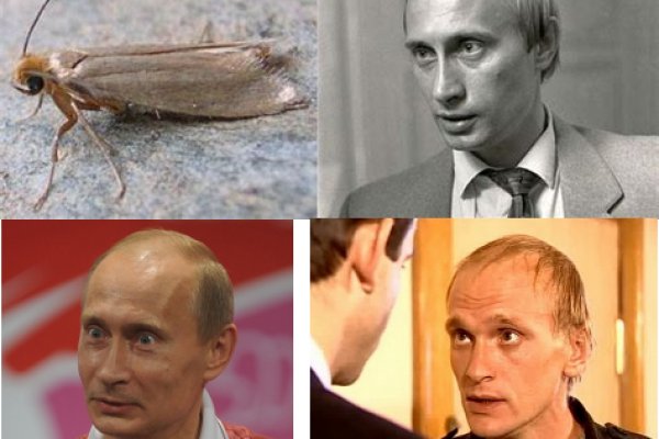 Ссылка на кракен krawebes